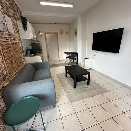 Apartament Le Patio D'ardres - Lac, Gare & Exterieur Privatif Ardres