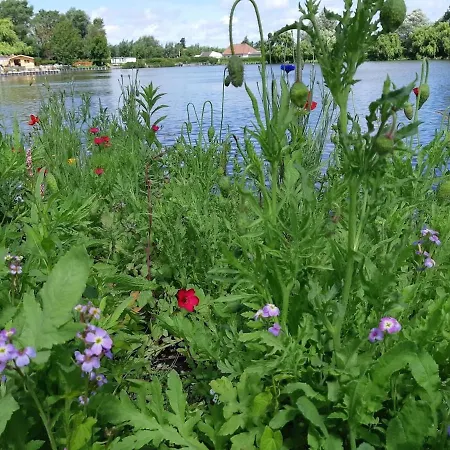Le Patio D'ardres - Lac, Gare & Exterieur Privatif